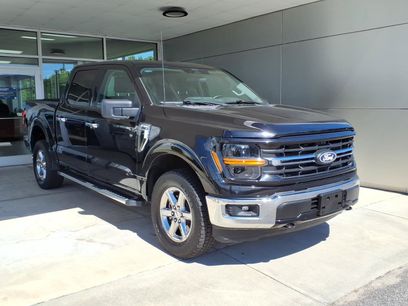 Used 2025 Ford F150 XLT w/ Equipment Group 301A Standard
