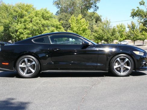 Used 2015 Ford Mustang Premium w/ Equipment Group 201A RWD image 4