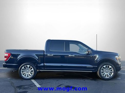 Certified 2023 Ford F150 Limited image 31