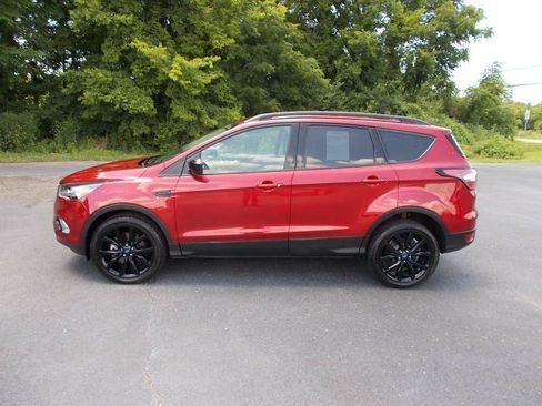 Used 2017 Ford Escape SE w/ Equipment Group 201A AWD/4WD image 3