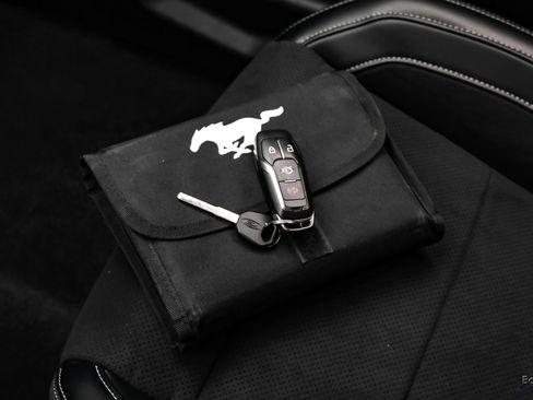 Used 2015 Ford Mustang Shelby GT350 RWD image 96