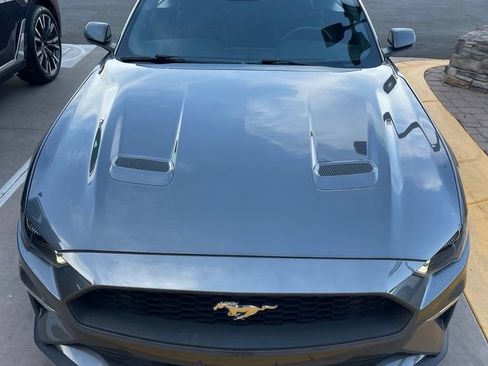 Used 2023 Ford Mustang Premium w/ Equipment Group 201A RWD image 1