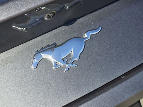 New 2026 Ford Mustang Coupe image 11