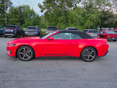 Used 2024 Ford Mustang Premium RWD image 5