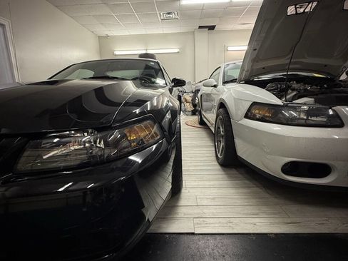 Used 2003 Ford Mustang Cobra image 9