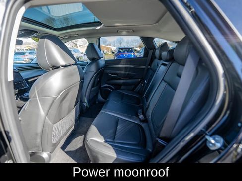 Certified 2024 Hyundai Tucson Limited image 14