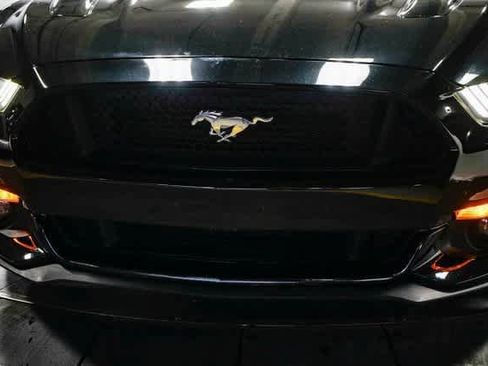 Used 2016 Ford Mustang GT Premium w/ Equipment Group 401A image 8