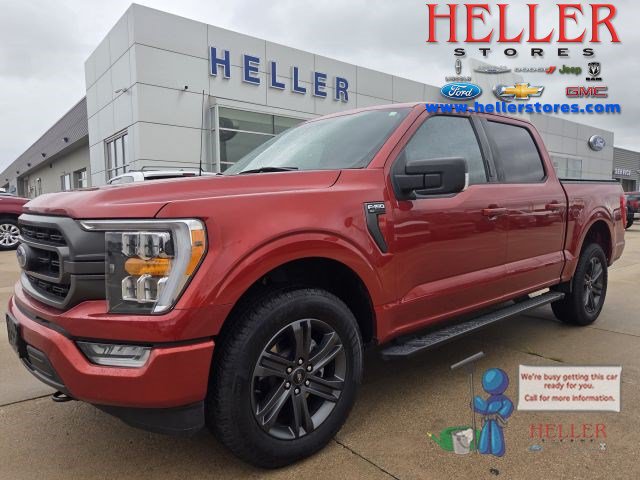 Used 2023 Ford F150 XLT w/ Equipment Group 302A High AWD/4WD image 1