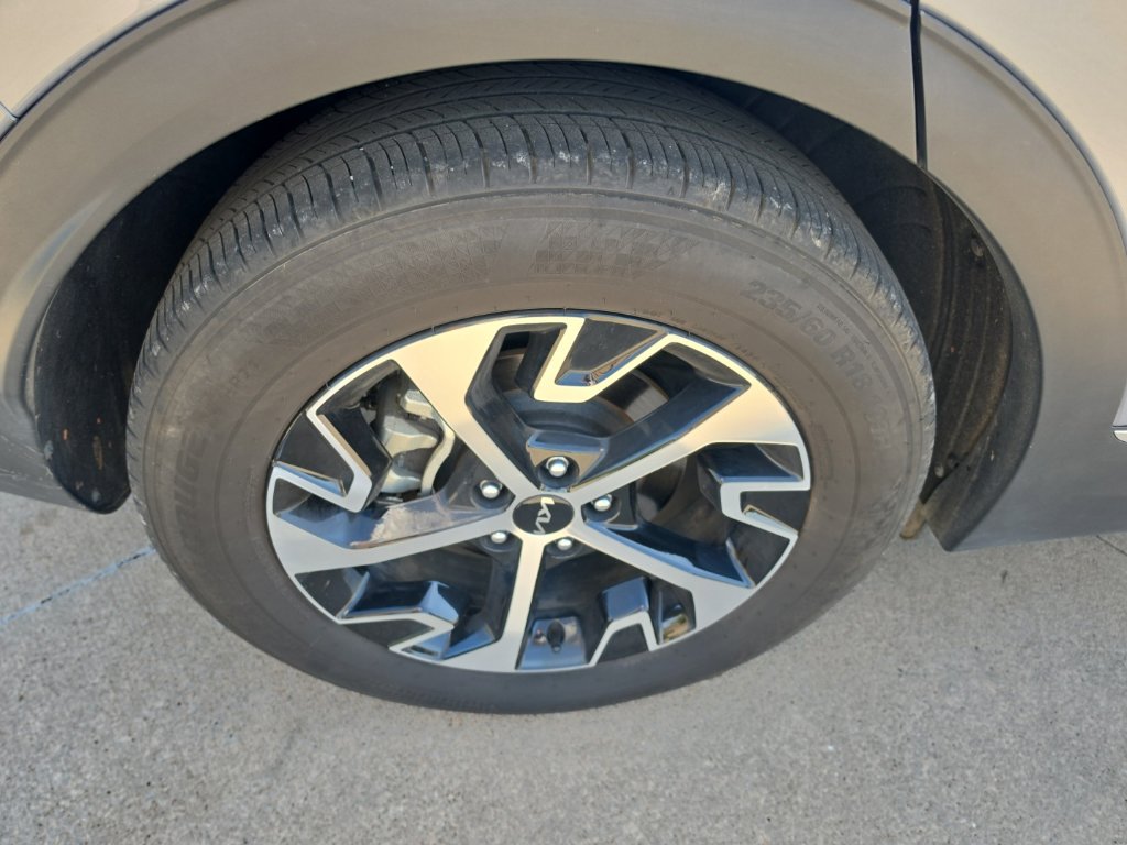 Used 2025 Kia Sportage EX w/ Premium Package FWD image 14