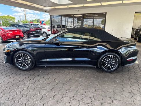 Used 2019 Ford Mustang Premium RWD image 9