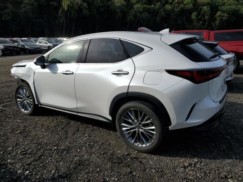 Used 2025 Lexus NX 350h AWD w/ Luxury Package image 4