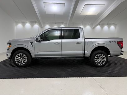 Used 2025 Ford F150 XLT w/ Equipment Group 302A MID