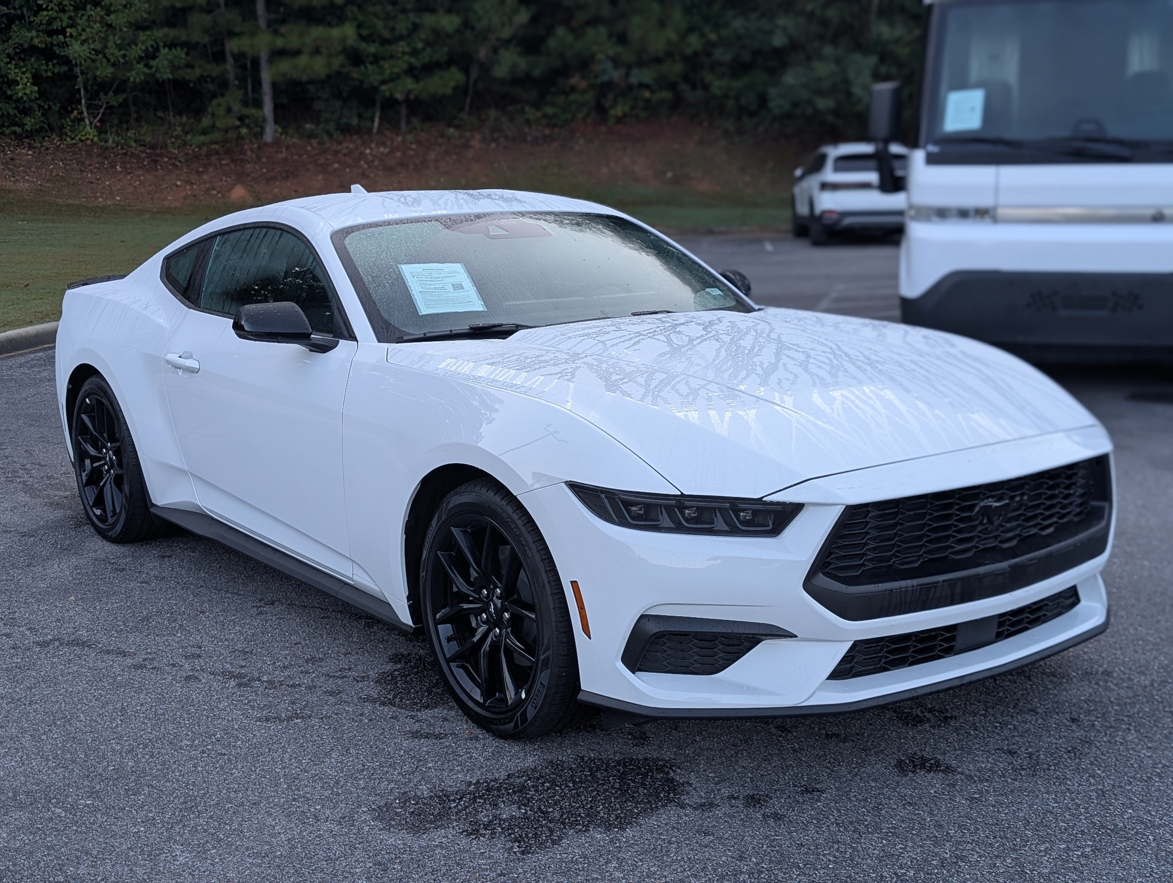 Used 2026 Ford Mustang Premium RWD image 11