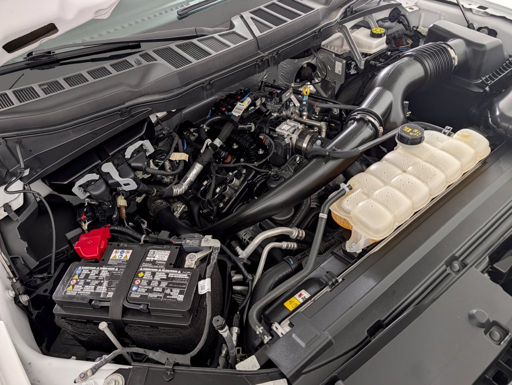 Certified 2025 Ford F150 STX w/ Equipment Group 200A RWD image 7