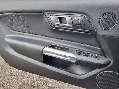 Used 2019 Ford Mustang Premium w/ Equipment Group 201A