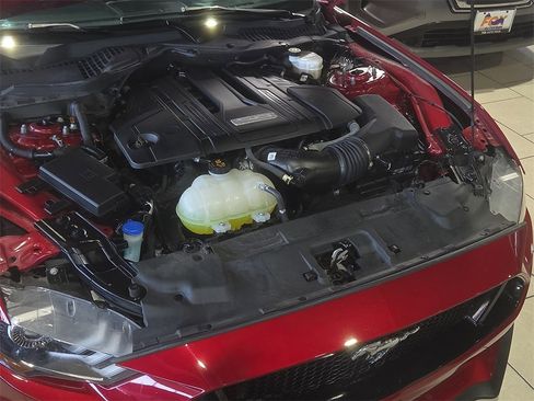 Used 2021 Ford Mustang GT Premium w/ Equipment Group 401A image 7