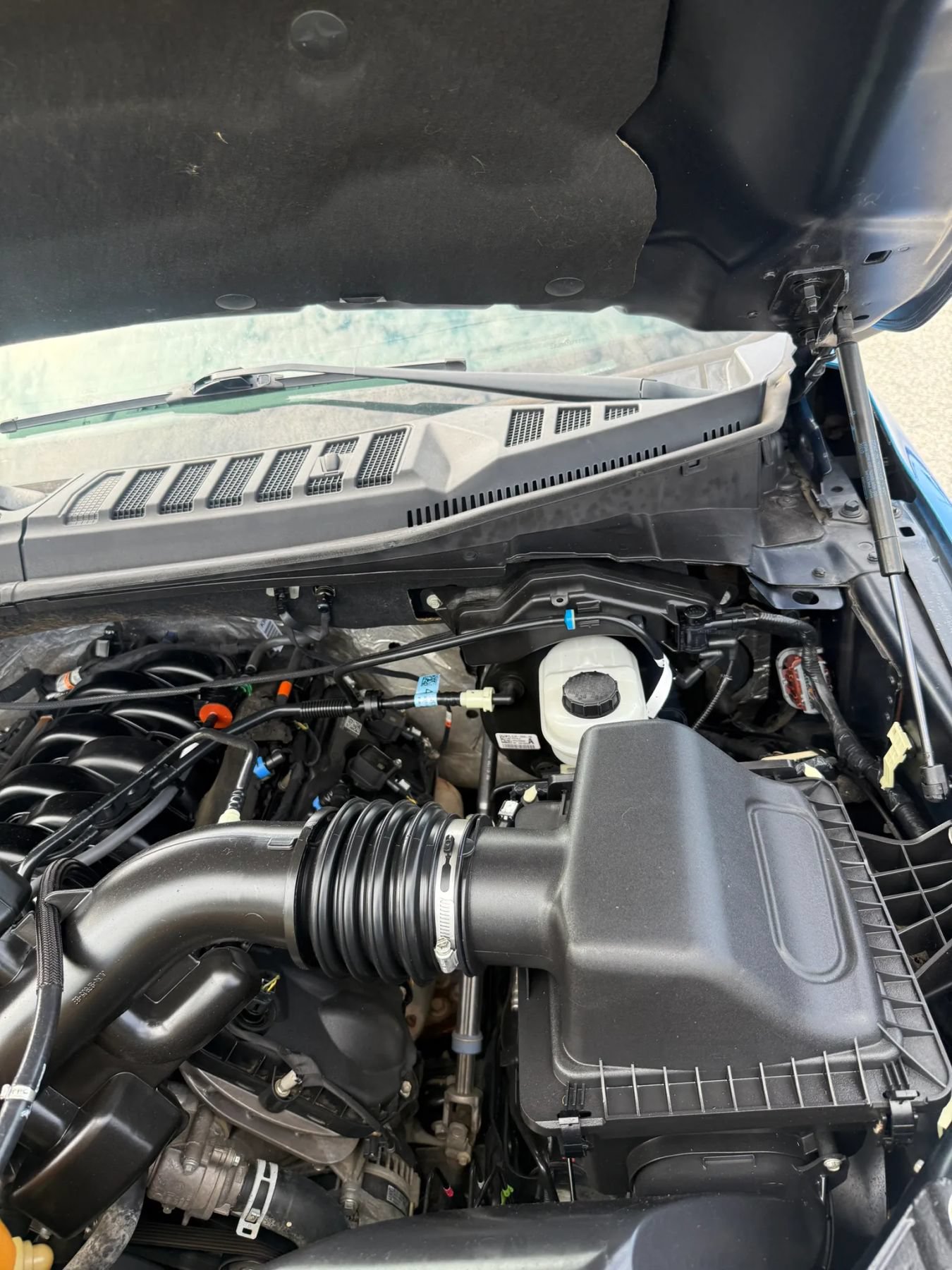 Used 2019 Ford F150 XLT w/ Equipment Group 302A Luxury AWD/4WD image 11