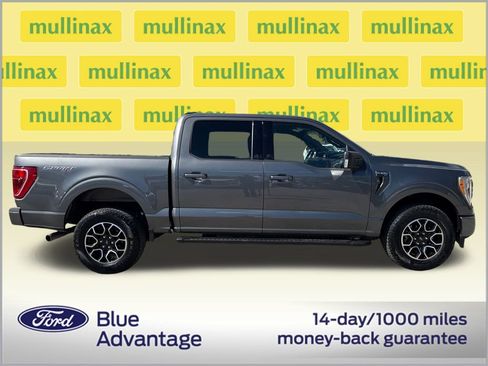 Used 2023 Ford F150 XLT w/ Equipment Group 302A High image 2