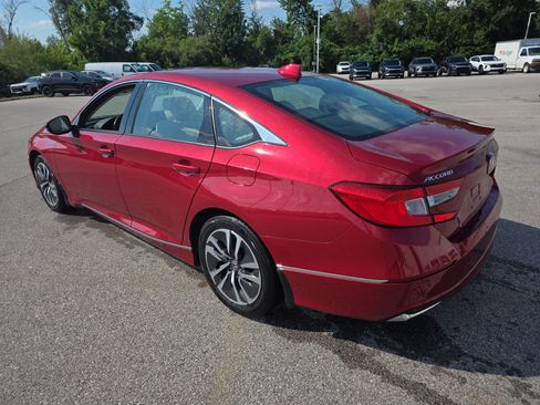 Used 2019 Honda Accord EX-L image 6