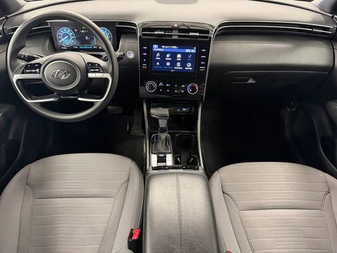 Certified 2023 Hyundai Santa Cruz SEL w/ Activity Package image 15