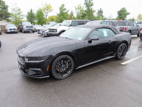 New 2025 Ford Mustang Convertible w/ Mustang Nite Pony Package image 3