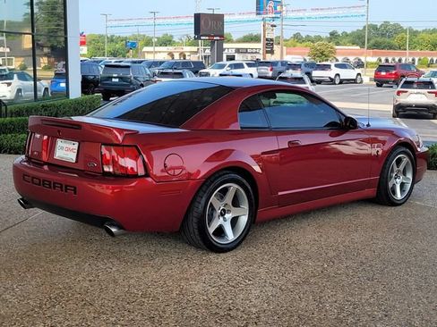 Used 2004 Ford Mustang Cobra RWD image 5