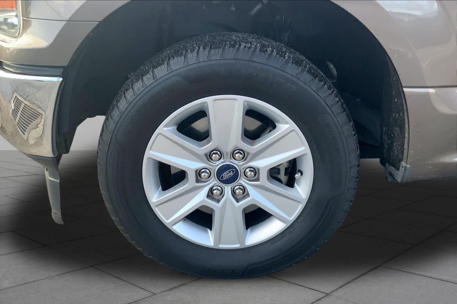 Used 2019 Ford F150 XLT w/ Trailer Tow Package RWD image 11