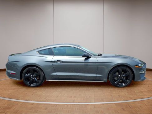 Used 2023 Ford Mustang Premium w/ Mustang Nite Pony Package RWD image 7