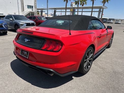 Used 2019 Ford Mustang Premium w/ Equipment Group 201A RWD image 7