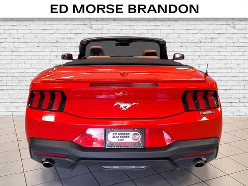 Used 2024 Ford Mustang Premium image 4