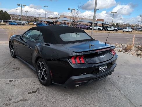 Used 2024 Ford Mustang Premium image 5