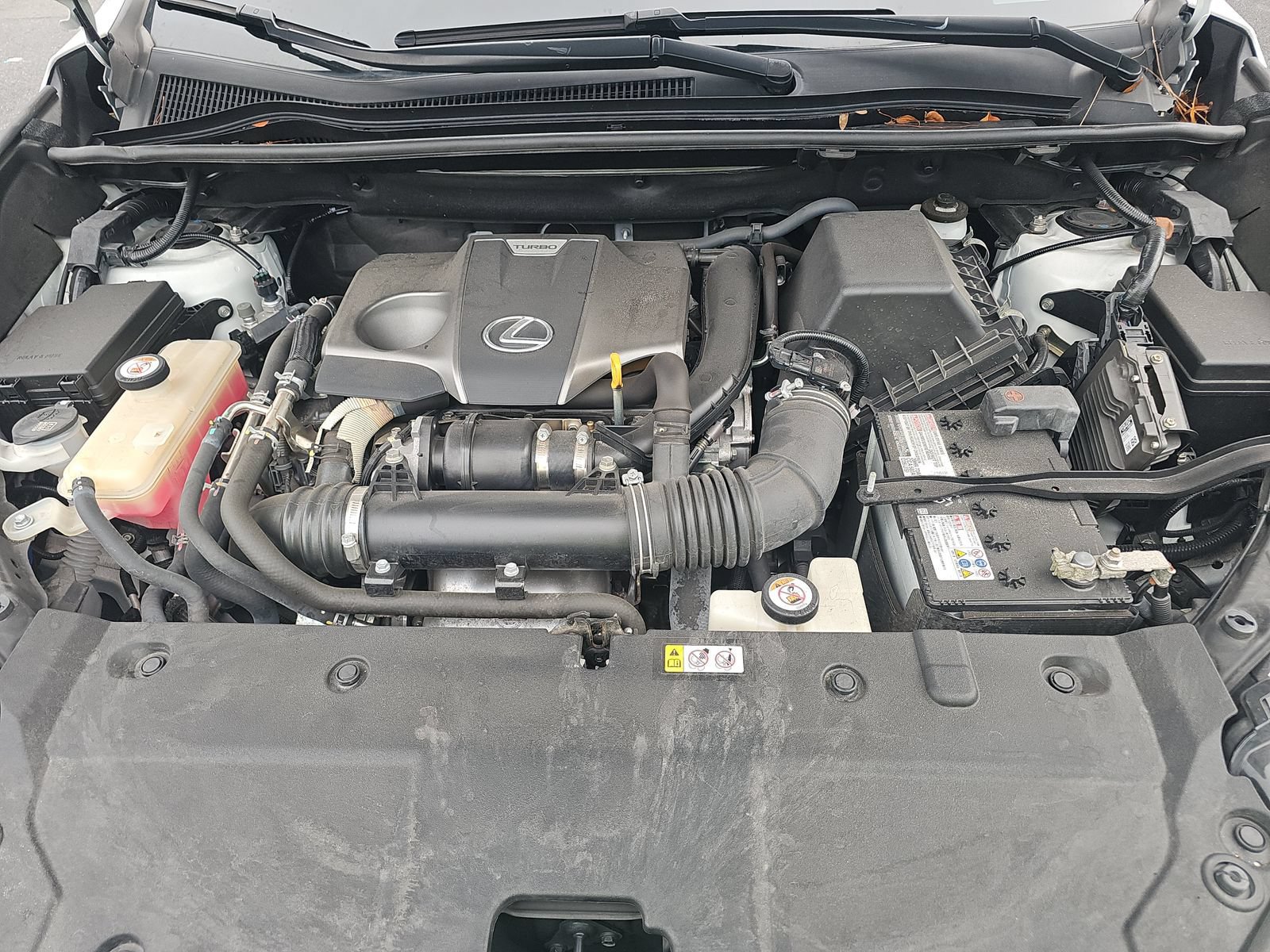 Used 2020 Lexus NX 300 FWD w/ Accessory Package 2 image 8
