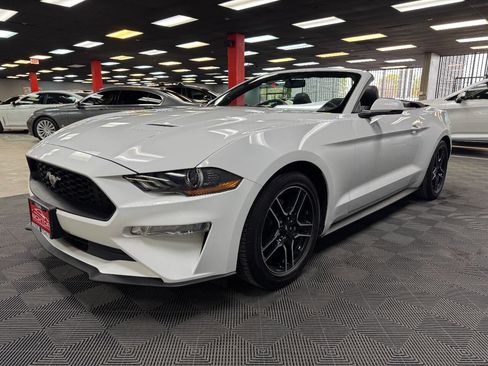 Used 2019 Ford Mustang Premium image 8