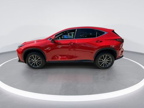 Certified 2024 Lexus NX 250 FWD w/ Cold Area Package image 5