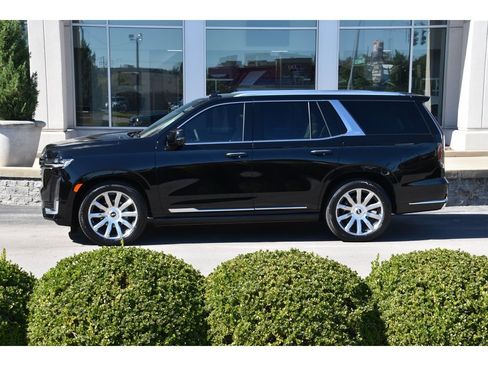 Used 2022 Cadillac Escalade Premium Luxury Platinum image 7