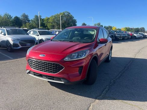 Used 2020 Ford Escape SE AWD/4WD image 14