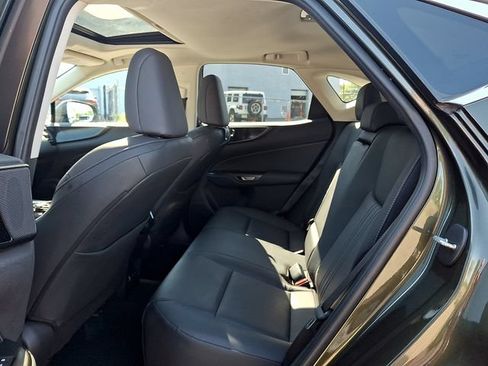 Certified 2024 Lexus NX 350 AWD w/ Cold Area Package image 10