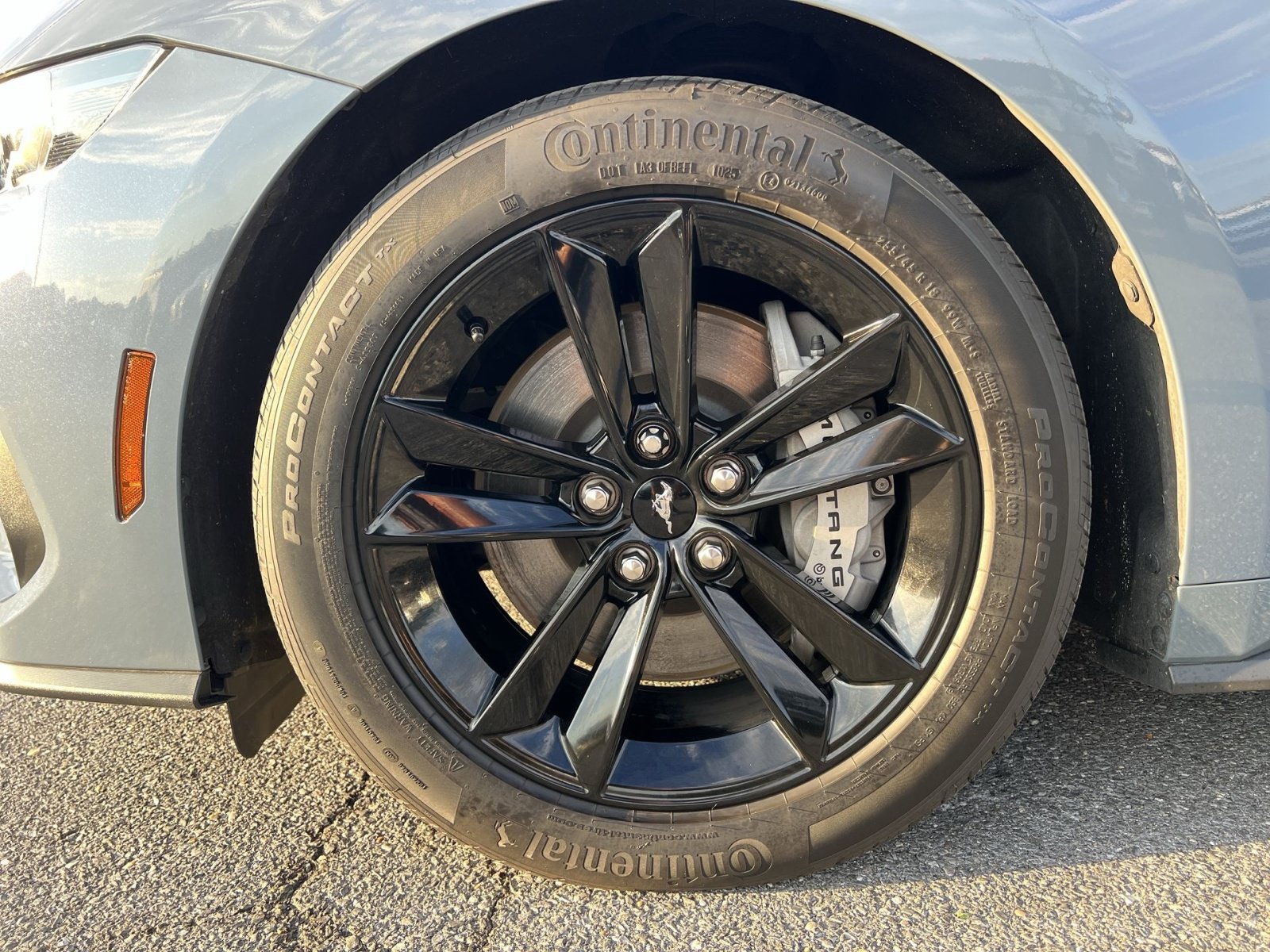 Used 2025 Ford Mustang GT RWD image 12