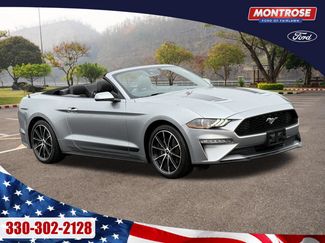 Used 2022 Ford Mustang Premium RWD video 1