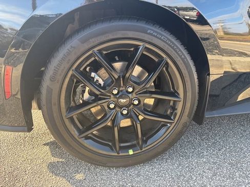 New 2026 Ford Mustang Coupe w/ Mustang Nite Pony Package image 9