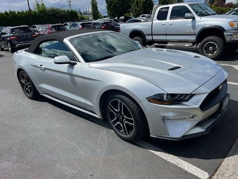 Used 2019 Ford Mustang Premium RWD image 1