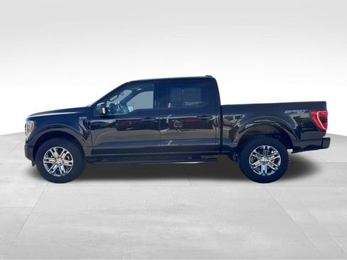 Used 2023 Ford F150 XLT w/ Equipment Group 302A High image 6