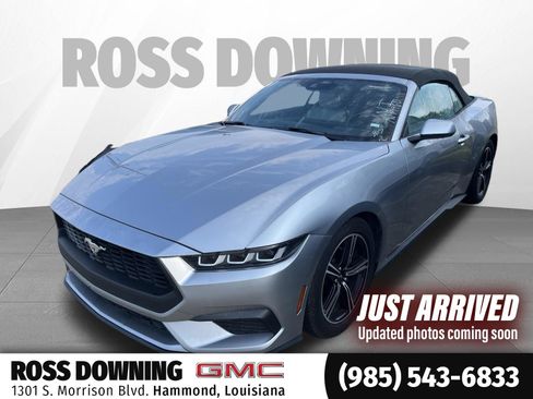 Used 2024 Ford Mustang Premium RWD image 1