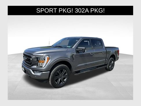 Used 2023 Ford F150 XLT w/ Equipment Group 302A High AWD/4WD image 1