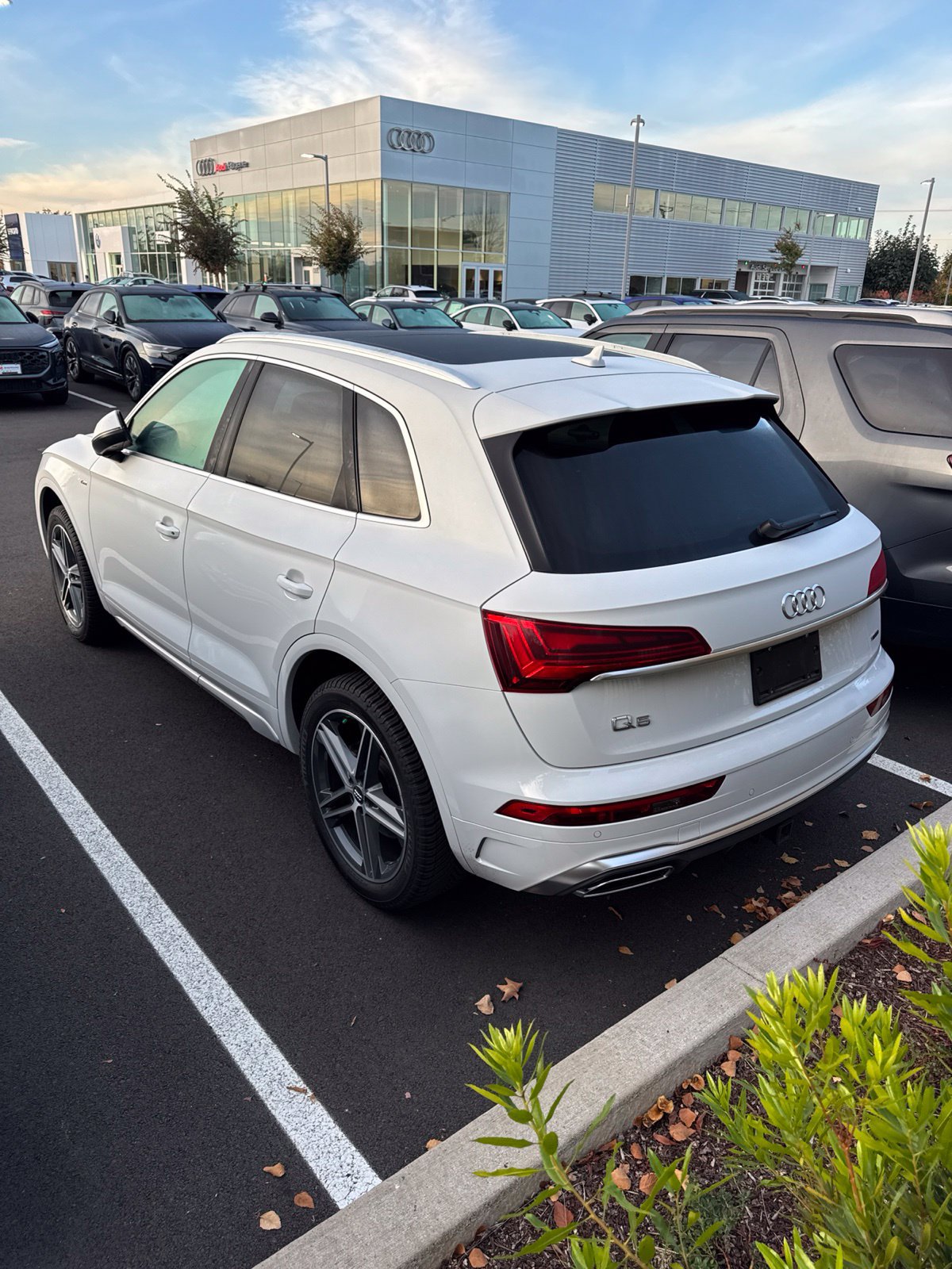 Used 2022 Audi Q5 2.0T Premium Plus AWD/4WD image 6
