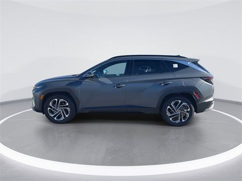 Certified 2025 Hyundai Tucson Limited image 5