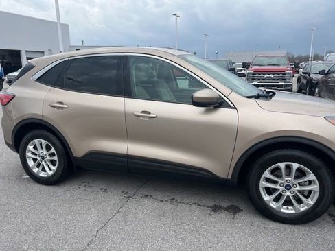 Used 2020 Ford Escape SE image 7