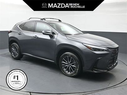 Used 2023 Lexus NX 350 AWD
