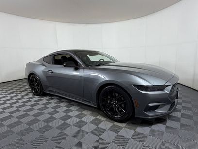 Used 2024 Ford Mustang Premium w/ Mustang Nite Pony Package