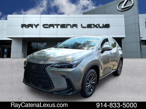Certified 2024 Lexus NX 350 AWD w/ Cold Area Package image 1